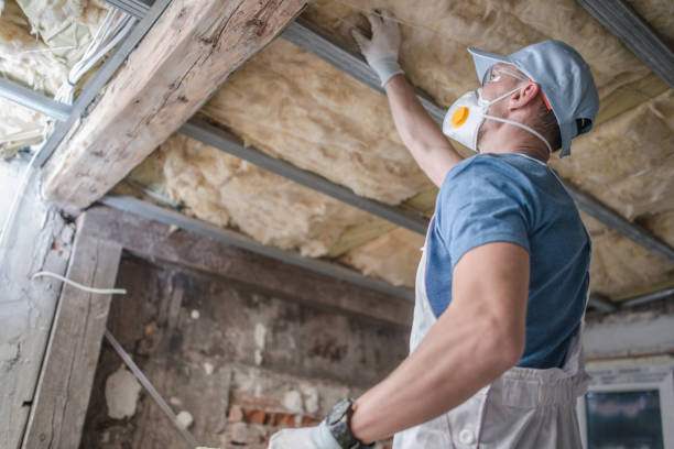 Best Eco-Friendly Insulation in Oakland, MD