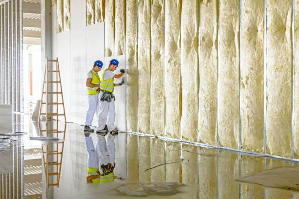 Best Specialized Insulation Services in Oakland, MD